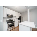 1 bedroom apartment for rent in Lower West Side - West Side, Chicago
