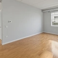 1 bedroom apartment for rent in River West - Central, Chicago