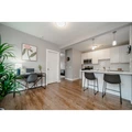 1 bedroom apartment for rent in Lower West Side - West Side, Chicago