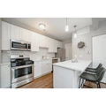1 bedroom apartment for rent in Lower West Side - West Side, Chicago