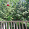 Coliving in Fairmont - Central Raleigh, Raleigh