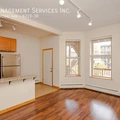 1 bedroom apartment for rent in Woodlawn - South Side, Chicago