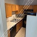 1 bedroom apartment for rent in Five Points - North Denver, Denver