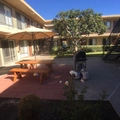 1 bedroom apartment for rent in Linda Vista - Inland, San Diego