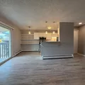 1 bedroom apartment for rent in Northeast Colorado Springs - North COS, Colorado Springs