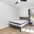Coliving in Sarasota - Sarasota, Sarasota