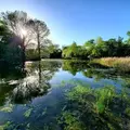Coliving in Southeast Austin - South Austin, Austin