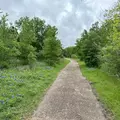 Coliving in Southeast Austin - South Austin, Austin