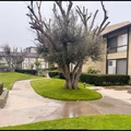 Coliving in Torrance - Westside / South Bay, Los Angeles