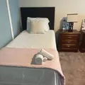Coliving in Greater Greenspoint - Ne Houston, Houston