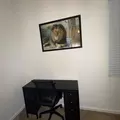 Coliving in Kissimmee - South Orlando, Orlando