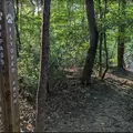 Coliving in Capitol Drive - West Charlotte, Charlotte