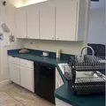 Coliving in Land O' Lakes - North Tampa, Tampa