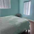 Coliving in Land O' Lakes - North Tampa, Tampa