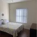Coliving in Land O' Lakes - North Tampa, Tampa
