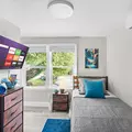 Coliving in San Marco - Southside, Jacksonville