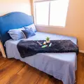 Coliving in Glendale - NW Valley, Phoenix