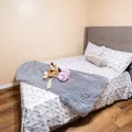 Coliving in Glendale - NW Valley, Phoenix