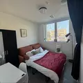 Coliving in Downtown Austin - Central Austin, Austin