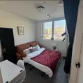 Coliving in Downtown Austin - Central Austin, Austin