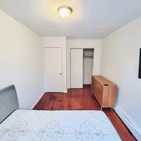Coliving in Clinton Hill - Brooklyn, New York