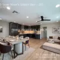 1 bedroom apartment for rent in Downtown SATX - Central SATX, San Antonio
