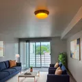 1 bedroom apartment for rent in Genesse - West Seattle, Seattle