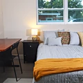Coliving in University Square - North Tampa, Tampa