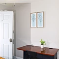 Coliving in University Square - North Tampa, Tampa