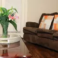 Coliving in Central Southwest - Sw Houston, Houston