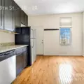 1 bedroom apartment for rent in Lower West Side - West Side, Chicago