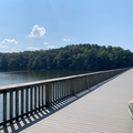 Coliving in Fairmont - Central Raleigh, Raleigh