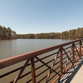 Coliving in Fairmont - Central Raleigh, Raleigh