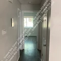 2 bedrooms apartment for rent in Northeast Colorado Springs - North COS, Colorado Springs