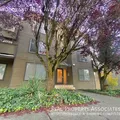 1 bedroom apartment for rent in Wallingford - North Seattle, Seattle