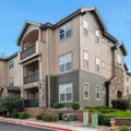 2 bedrooms apartment for rent in Briargate - North COS, Colorado Springs
