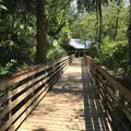 Coliving in Odessa - North Tampa, Tampa