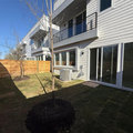 Coliving in East Riverside Oltorf - South Central Austin, Austin