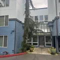 Studio Apartment for rent in Bitter Lake - North Seattle, Seattle