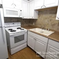 1 bedroom apartment for rent in South Sarasota - Sarasota, Sarasota