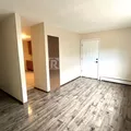 1 bedroom apartment for rent in Southeast Colorado Springs - South COS, Colorado Springs