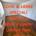 1 bedroom apartment for rent in East Colfax - East Denver, Denver