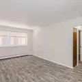 1 bedroom apartment for rent in Edgewater - Far North Side, Chicago