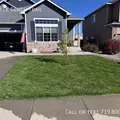 5 bedrooms apartment for rent in Fountain - South COS, Colorado Springs