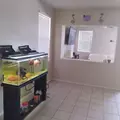 Coliving in North Las Vegas - North Las Vegas, Las Vegas