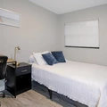 Coliving in Town 'n' Country - West Tampa, Tampa