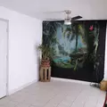 Coliving in Town 'n' Country - West Tampa, Tampa