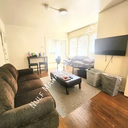 Studio Apartment for rent in Squirrel Hill - East Pitt, Pittsburgh