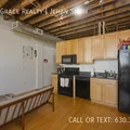 1 bedroom apartment for rent in South Loop - Central, Chicago