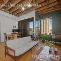 1 bedroom apartment for rent in South Loop - Central, Chicago